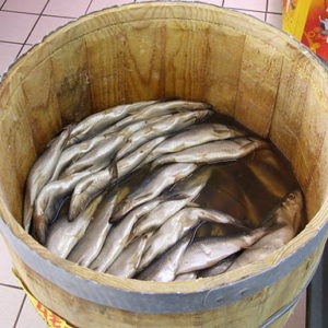 Barrel of herring